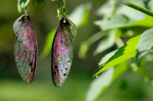 Fairy Wing Earrings - Pink Iridescent