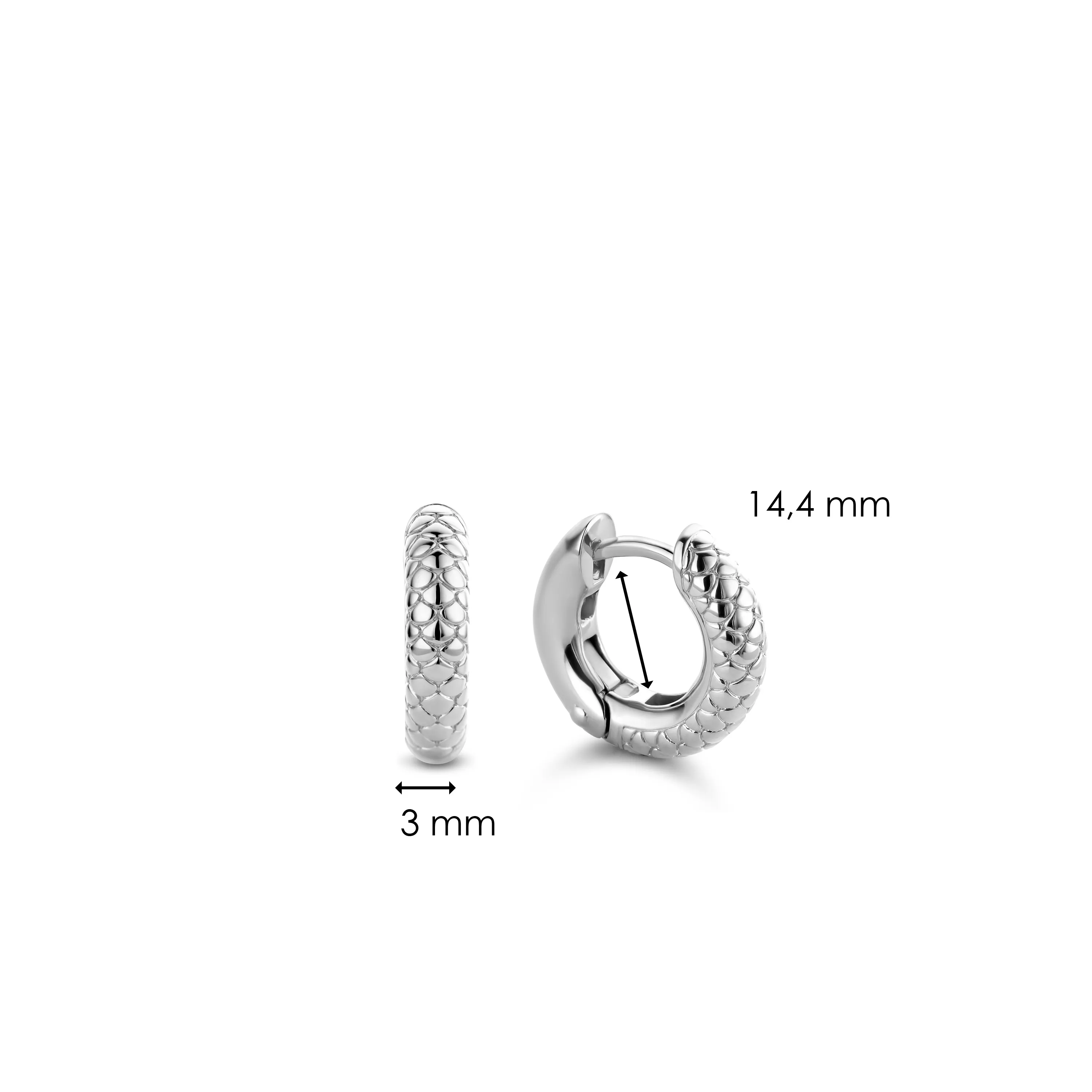 TI SENTO Earrings 7210SS